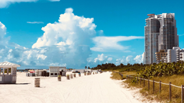 Miami Shared City Tour